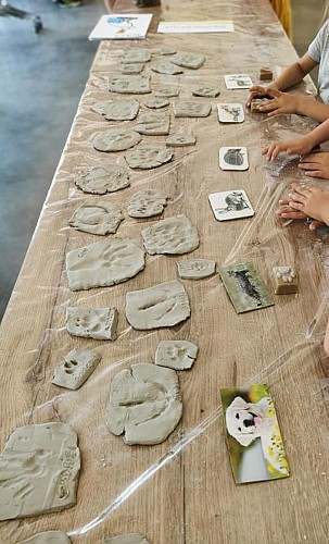 maison de la nature 4