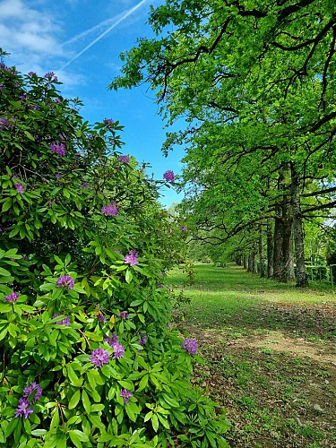 Parc du château du Verdier 3