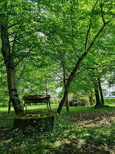 Parc du château du Verdier 4