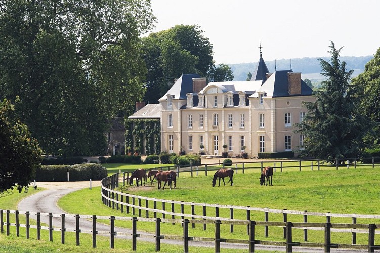 Chateau de la Potardière et chevaux