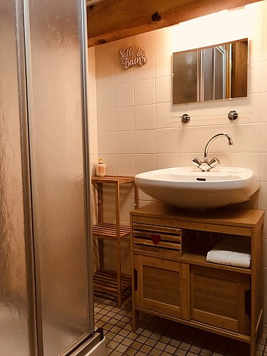 salle de bain avec douche, lavabo sous-vasque.