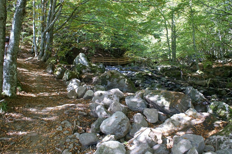 Cascade du Saut de la Truite