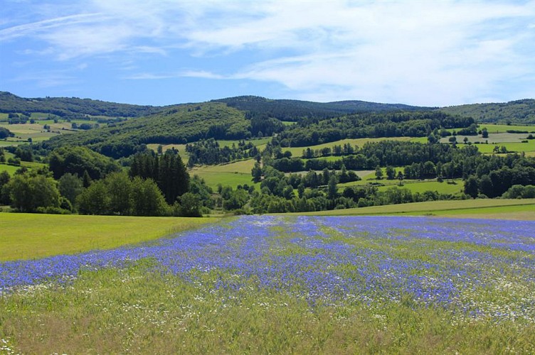 Monts de la Margeride