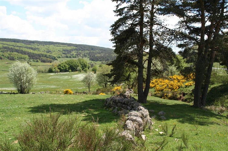 Monts de la Margeride