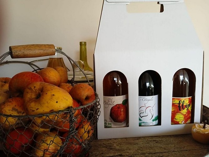 domaine-de-lorogale-1