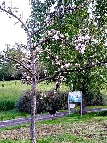 domaine-de-lorogale-3