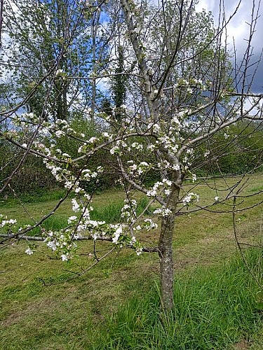 domaine-de-lorogale-4