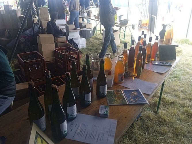 domaine-de-lorogale-5