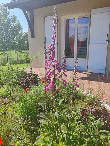 Cadeau de dame nature