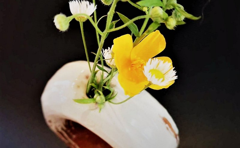 Atelier de poterie - ter' à' terre