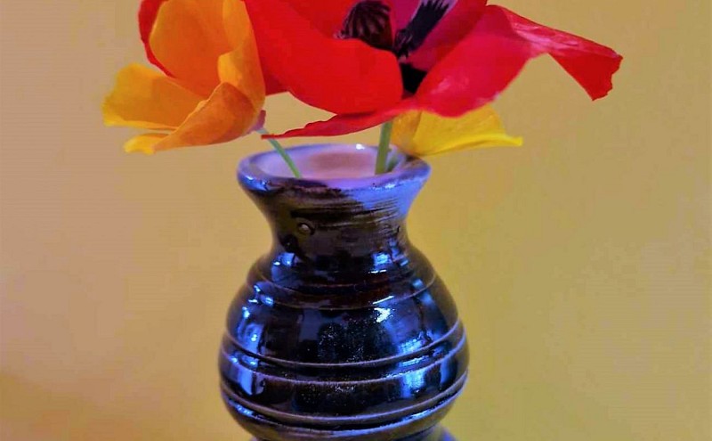 Atelier de poterie - ter' à' terre