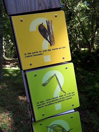 Zone humide de Limac