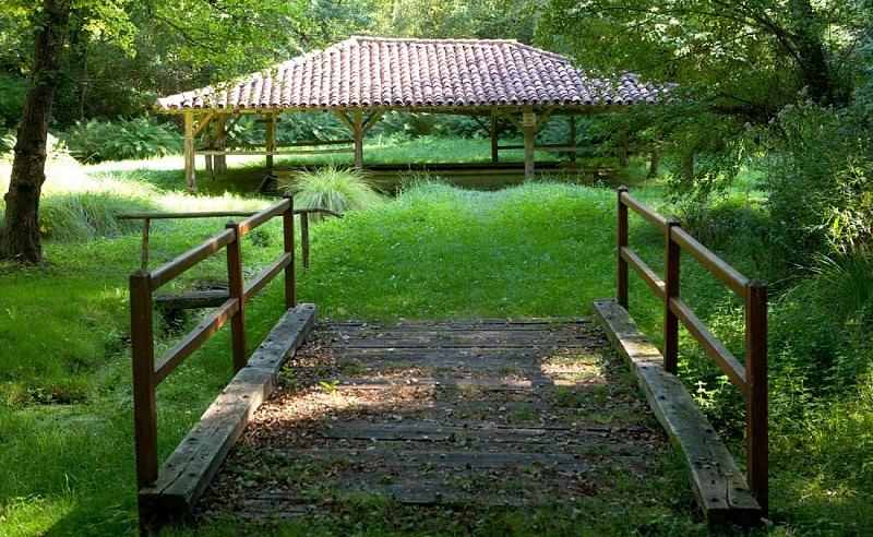 Zone humide de Limac