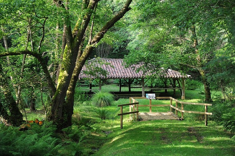 Zone humide de Limac