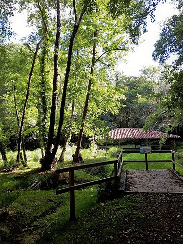 Zone humide de Limac