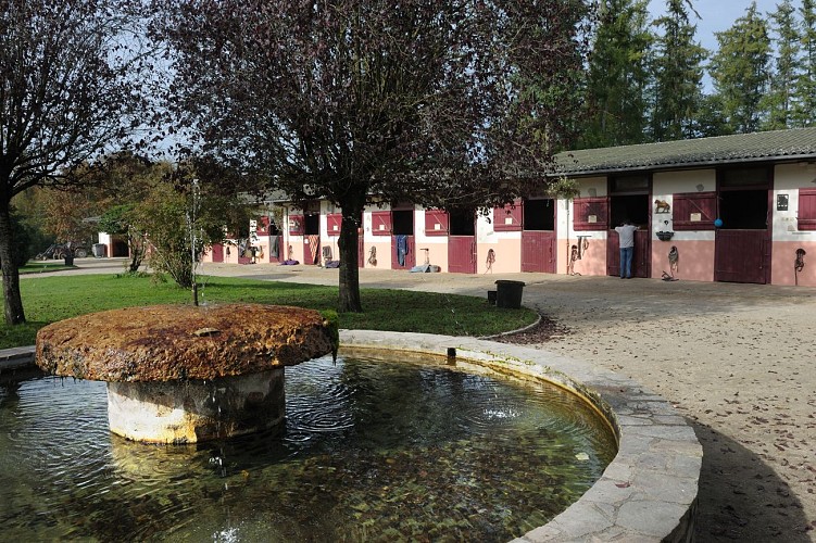AMBAZAC Centre equestre domaine de muret © Péricat