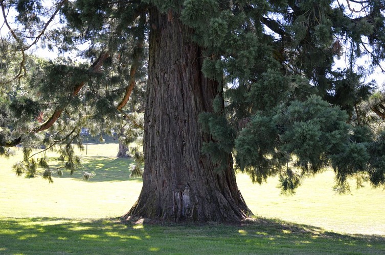 AMBAZAC domain muret (3)