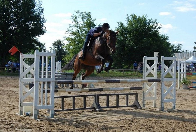 Centre équestre - Cheval Pot' âgé