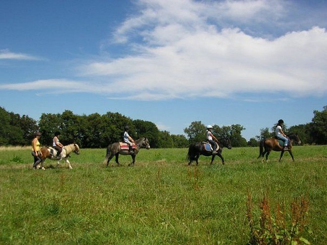 Centre équestre Cheval Pot'Agé