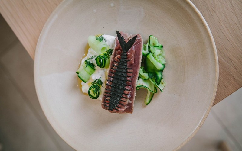 IMG_20230713_120151@Terrae (2)