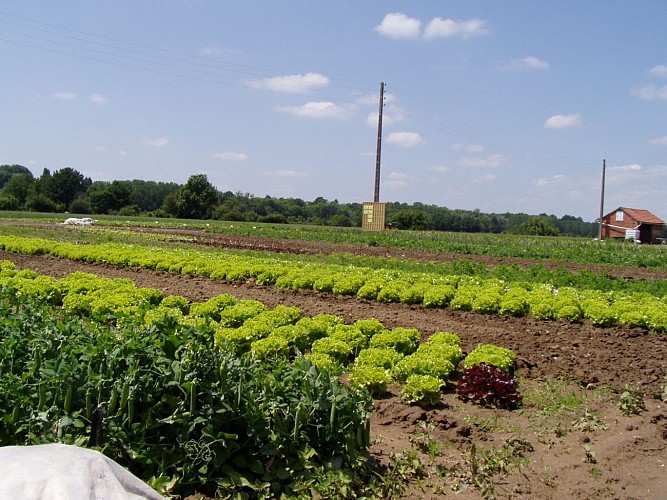 Beaulieu sur Loire - Val fleuri -extérieurs