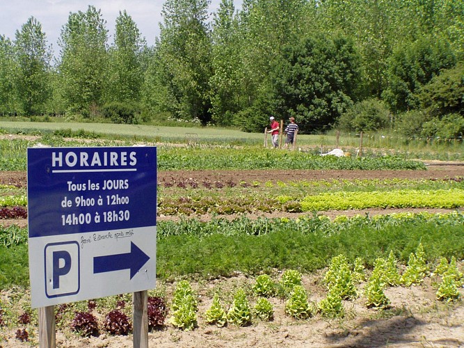 Beaulieu sur Loire - Val fleuri - extérieur