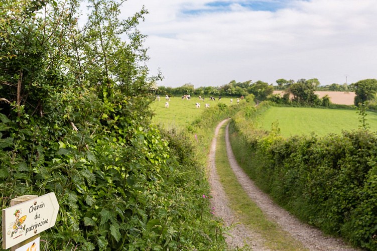 siouville-hague-voie-verte-15-Thierry-Houyel