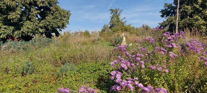 Parc de la Plage Bleue