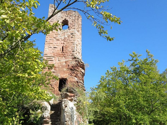 Château fort de Wasigenstein