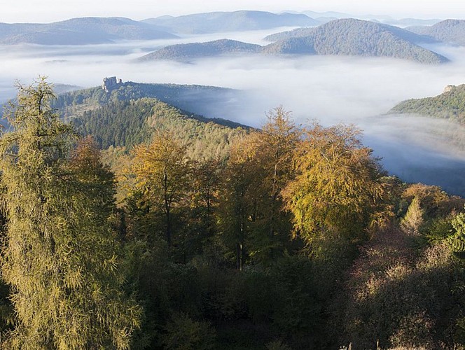 Château de Fleckenstein