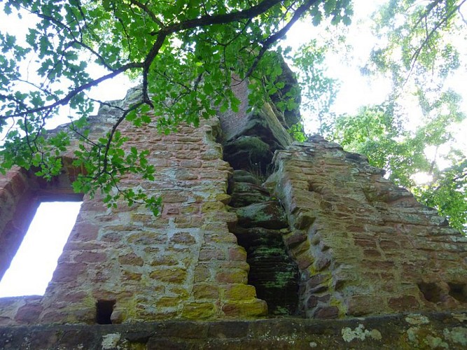 Un des rares pans de mur encore debout