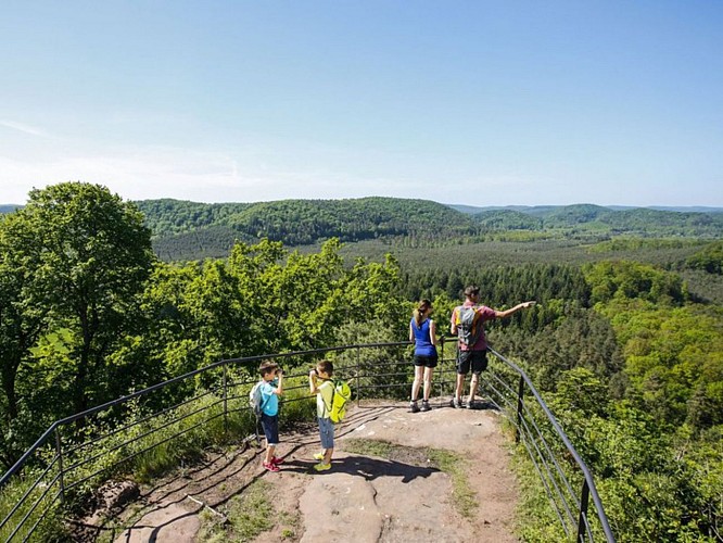 Vue depuis le château de Waldeck