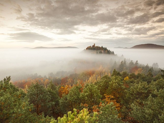 Le château de Waldeck