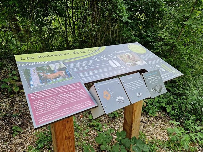 MASSIF FORESTIER DE JEAND'HEURS ET SES SOURCES KARSTIQUES