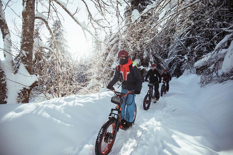 Green mojo - balade en trottinette électrique de montagne