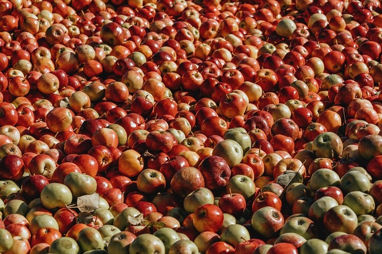10-2022-pomme-2