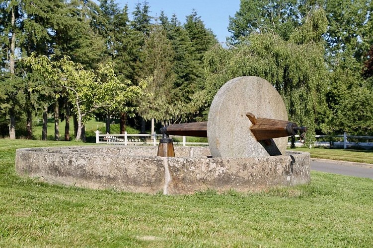 saint-cyr-du-bailleul-la-cave-normande (6)