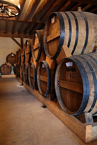 saint-cyr-du-bailleul-la-cave-normande (2)