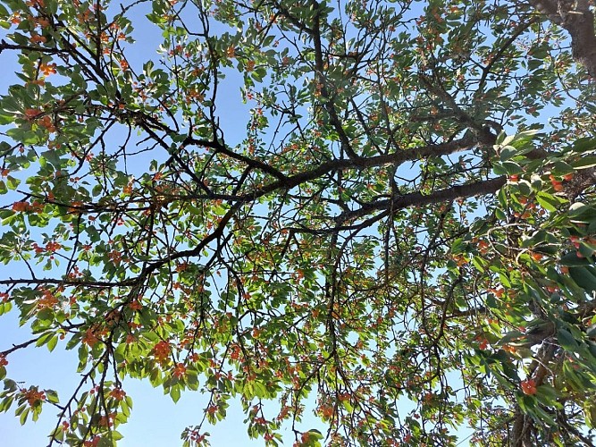 Ferme de La Rivière Bourdet - Quevillon