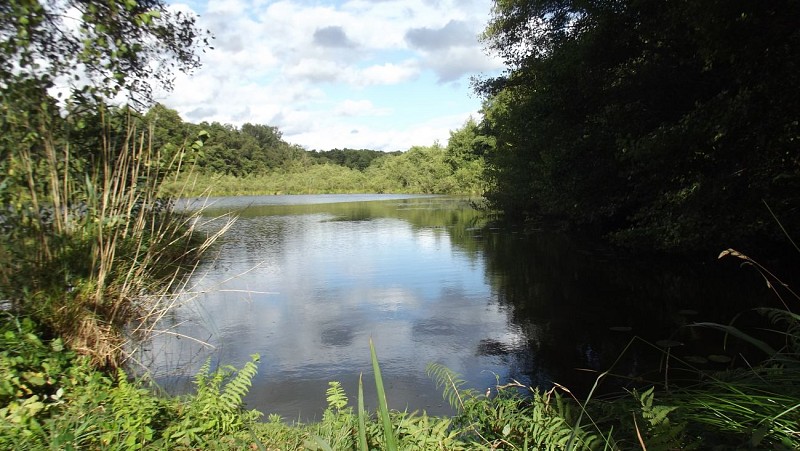Ouzouer sur Trézée - Etang des Fichus - 13 septembre 2017 - OT Terres de Loire et Canaux - I Rémy (4)