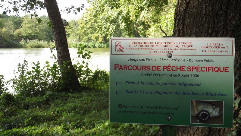 Ouzouer sur Trézée - Etang des Fichus - 13 septembre 2017 - OT Terres de Loire et Canaux - I Rémy (2)