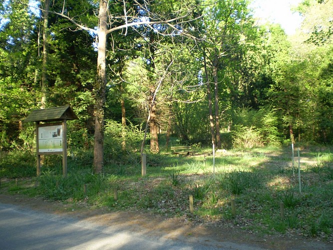 Forêt domaniale de Châtellerault