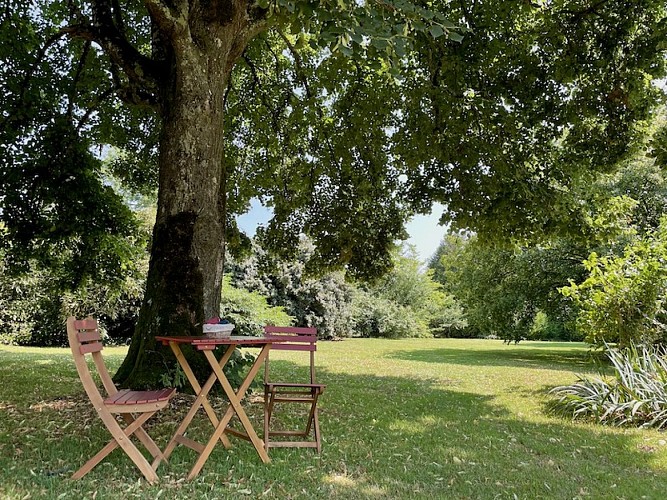 à l'ombre du tilleul en fleurs