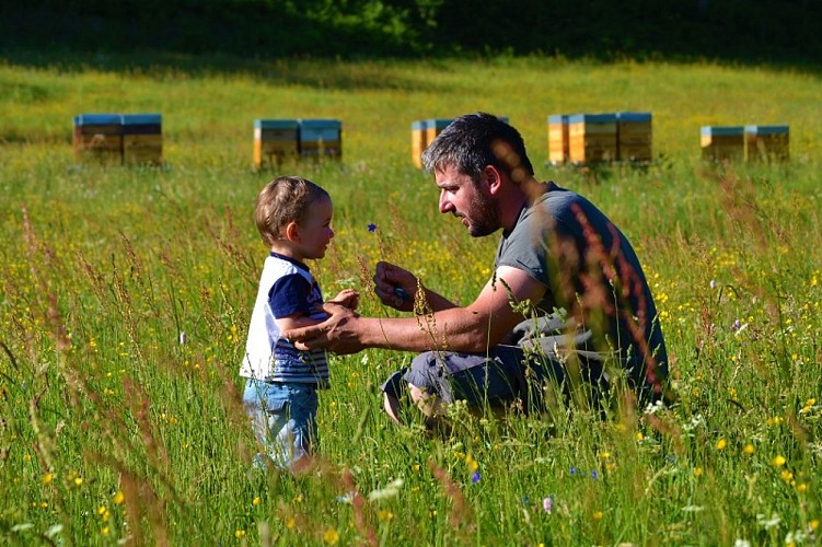 Beekeeper - Rucher de la Colline