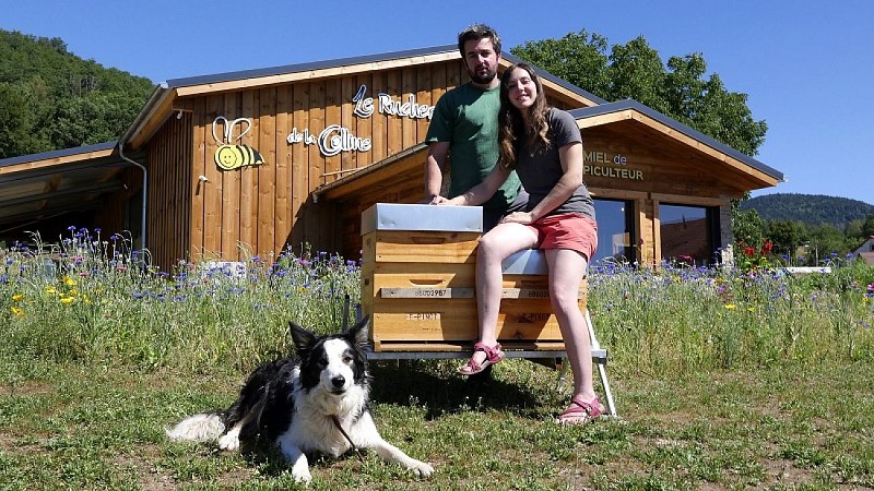 Rucher de la Colline