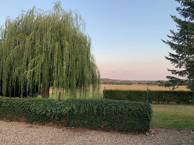 La maison des coteaux - jardin