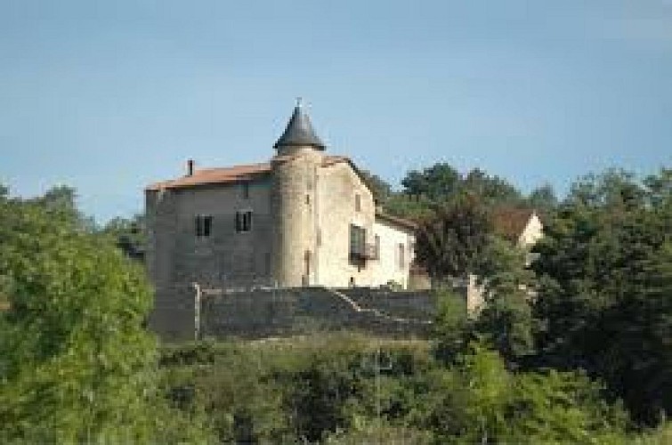 Château de Rignat ou château Pinel