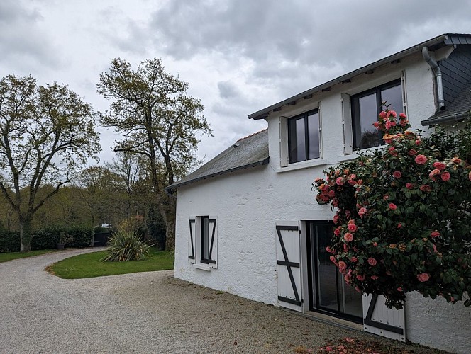 LE NID DE MAZEROLLES