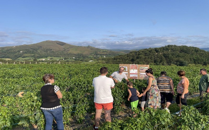 Farm Shop - Ferme Okilaua - Ainhoa