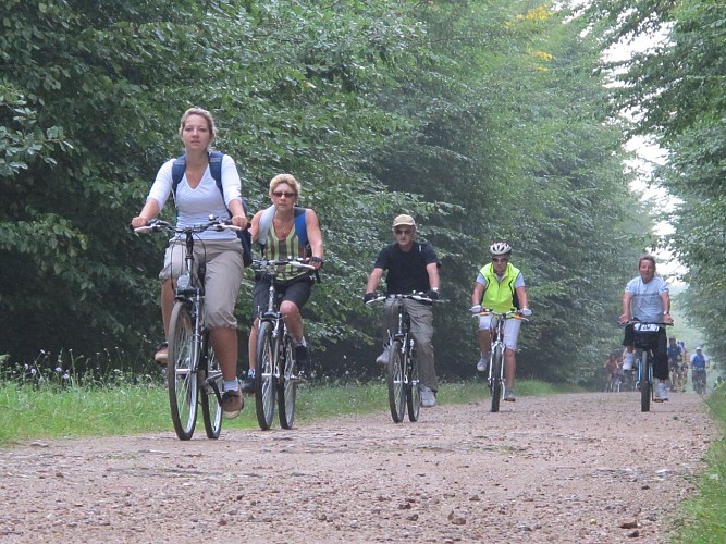 Châteaux de la loire à vélo